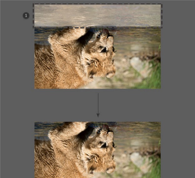 use Marquee Tool to select the area
