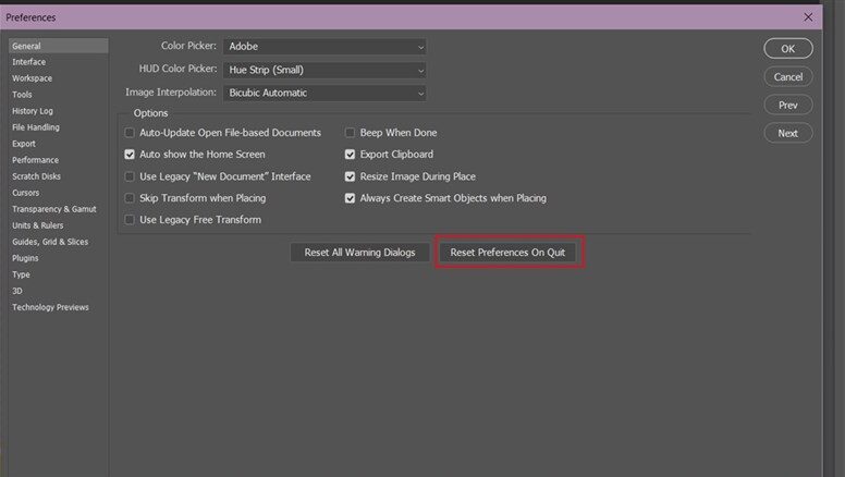 Reset Preferences On Quit