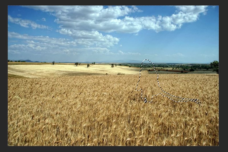 Results after using Content - Aware Fill