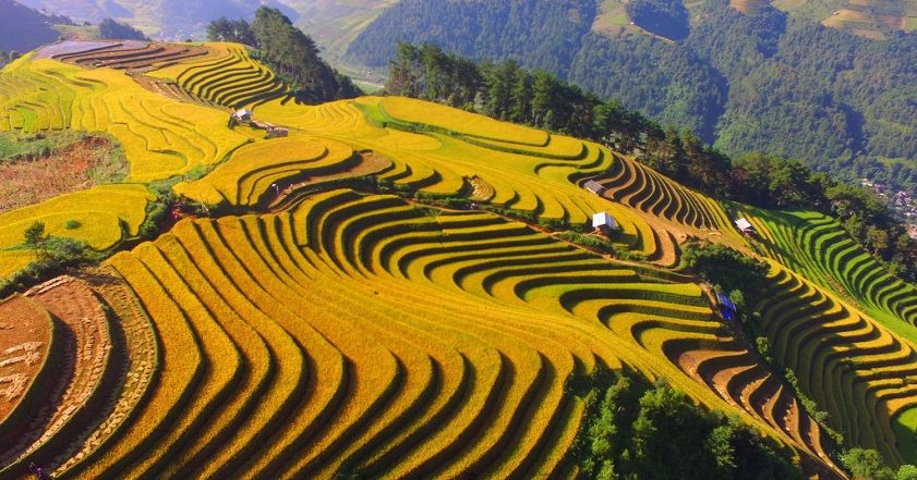 Autumn In Sapa