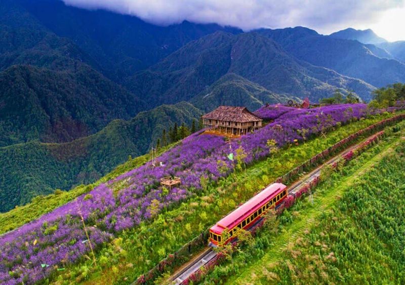 Sapa Weather by Month: Best Time to Visit, Temperatures & Travel Tips (2026 Guide)